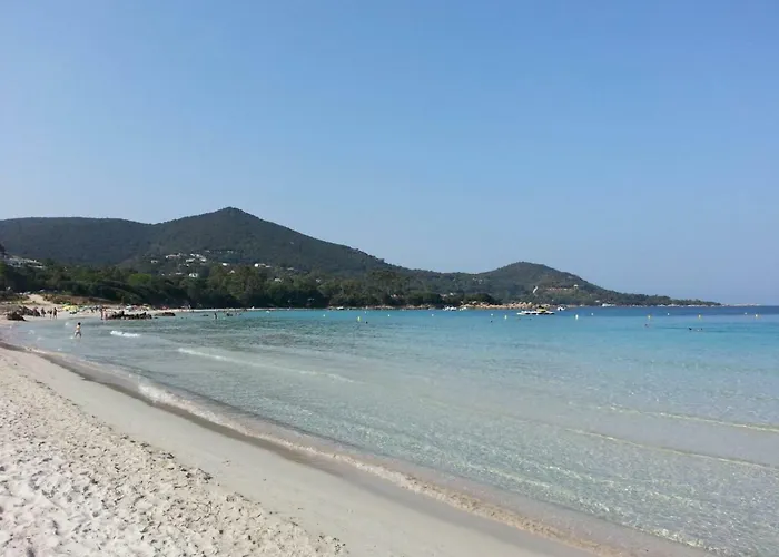 T2 De 45 M2 Sur Avec Jardin Apartament *