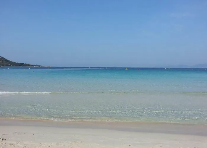 Apartament T2 De 45 M2 Sur Avec Jardin