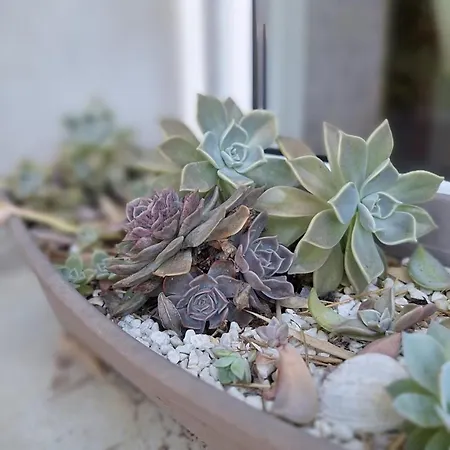 T2 De 45 M2 Sur Avec Jardin Appartement *