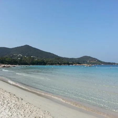 T2 De 45 M2 Sur Avec Jardin Appartement *