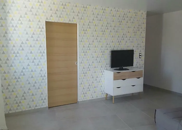 T2 De 45 M2 Sur Avec Jardin *